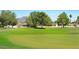 Scenic golf course view with lush greens and mature trees at 1621 E Firestone Dr, Chandler, AZ 85249