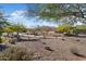 Landscaped area with trees, plants, and a walking path at 20515 N 274Th Ln, Buckeye, AZ 85396