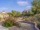 Landscaped backyard with desert plants and a mountain view at 3921 E San Miguel Ave, Paradise Valley, AZ 85253