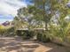 Mid-century modern home with a large front yard and mature trees at 3921 E San Miguel Ave, Paradise Valley, AZ 85253