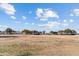 Large open grassy area with mature trees and blue sky at 4109 E Barwick Dr, Cave Creek, AZ 85331