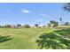 Large grassy area with mature trees at 4149 W Park Ave, Chandler, AZ 85226