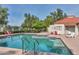 Community pool with spa and lounge chairs at 4149 W Park Ave, Chandler, AZ 85226