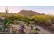 Landscaped backyard with desert plants and mountain views at 7002 E Leisure Ln, Carefree, AZ 85377