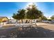 Front view of a house with a tree and yard at 7135 W Heatherbrae Dr, Phoenix, AZ 85033