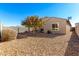 Large backyard with gravel, a tree, and a block wall at 790 W Jardin Dr, Casa Grande, AZ 85122