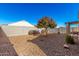 Landscaped backyard with gravel and a tree providing shade at 790 W Jardin Dr, Casa Grande, AZ 85122