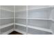 Spacious pantry with ample shelving for storage at 910 E Canyon Way, Chandler, AZ 85249