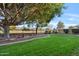 Landscaped backyard with large tree and grassy area at 9758 E Meseto Ave, Mesa, AZ 85209