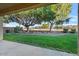 Landscaped backyard with large tree and grassy area at 9758 E Meseto Ave, Mesa, AZ 85209