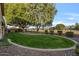 Landscaped backyard with large tree and grassy area at 9758 E Meseto Ave, Mesa, AZ 85209