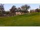 Green grass and palm trees surround a golf course at 9758 E Meseto Ave, Mesa, AZ 85209