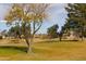 Landscaped golf course with mature trees and rolling terrain at 9758 E Meseto Ave, Mesa, AZ 85209