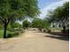 Peaceful walking path surrounded by mature trees at 18064 W Buena Vista Dr, Surprise, AZ 85374