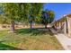 Spacious backyard with mature trees and grassy area at 18202 N 99Th Dr, Sun City, AZ 85373