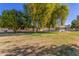 Expansive backyard with mature trees and grassy areas at 18202 N 99Th Dr, Sun City, AZ 85373