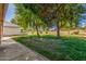 Landscaped backyard with mature trees and grass at 18202 N 99Th Dr, Sun City, AZ 85373