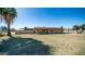 Ranch style home with palm tree and large yard at 3737 W Morrow Dr, Glendale, AZ 85308