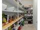 Large walk-in pantry offers ample shelving for storage at 7805 W Noble Prairie Way, Florence, AZ 85132