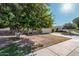 House exterior showcasing a large tree and a brick walkway at 10407 W Desert Forest Cir, Sun City, AZ 85351