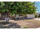 House exterior with a large tree and walkway at 10407 W Desert Forest Cir, Sun City, AZ 85351