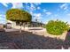 Landscaped backyard with gravel and trees at 13907 W Terra Vista Dr, Sun City West, AZ 85375