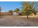 Large backyard with mature fruit trees, providing shade and privacy at 1434 E Detroit St, Chandler, AZ 85225