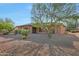 Landscaped backyard with gravel and desert landscaping at 19939 N Golden Barrel Dr, Surprise, AZ 85374