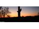 Stunning desert sunset view with saguaro cacti at 2164 W Muirfield Dr, Anthem, AZ 85086