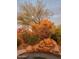 Serene rock waterfall feature next to lush desert plants at 2164 W Muirfield Dr, Anthem, AZ 85086