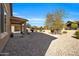 Large backyard with gravel, desert landscaping, and a tree at 22424 W La Pasada Blvd, Buckeye, AZ 85326