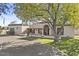 Single story home with large tree and paved driveway at 2889 E Tremaine Ave, Gilbert, AZ 85234