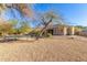 Spacious backyard with a trampoline and mature trees at 3630 W Bohl St, Laveen, AZ 85339