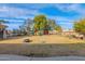 Large backyard with playset, trampoline, and mature trees at 3848 W Morrow Dr, Glendale, AZ 85308