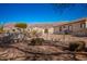 Spacious backyard with mountain views and a small tree at 4249 S Pony Rider Trl, Gold Canyon, AZ 85118