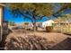 Desert landscape with gravel and a block wall, providing a private backyard space at 4249 S Pony Rider Trl, Gold Canyon, AZ 85118