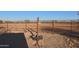 Large horse arena with dirt ground and metal fencing at 49651 W Dune Shadow Rd, Maricopa, AZ 85139