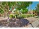 Landscaped courtyard with mature trees and desert landscaping at 5640 E Bell Rd # 1101, Scottsdale, AZ 85254