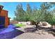 Landscaped backyard with artificial turf and trees at 6830 S Crystal Way, Chandler, AZ 85249