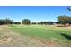 Large grassy park area with trees at 6830 S Crystal Way, Chandler, AZ 85249