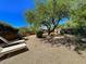 Landscaped backyard with lounge chairs and a large shade tree at 9223 E Whitethorn Cir # 667, Scottsdale, AZ 85266