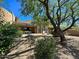 Spacious backyard with patio, lounge chairs, and desert landscaping at 9223 E Whitethorn Cir # 667, Scottsdale, AZ 85266