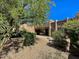 Spacious backyard with covered patio, mature trees, and desert landscaping at 9223 E Whitethorn Cir # 667, Scottsdale, AZ 85266