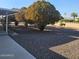 Large backyard with gravel and mature trees at 10216 W Ironwood Dr, Sun City, AZ 85351