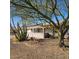 Ranch style home with mature trees and desert landscaping at 10216 W Ironwood Dr, Sun City, AZ 85351