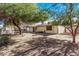 Spacious backyard with mature trees and partial view of house at 11530 E Marguerite Ave, Mesa, AZ 85208