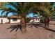Ranch style home with mature palm trees and a spacious yard at 11530 E Marguerite Ave, Mesa, AZ 85208