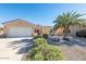 Landscaped front yard with desert plants and a large palm tree at 19937 N Turquoise Pt, Surprise, AZ 85387