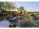 Landscaped backyard with a serene waterfall feature at 17716 E Silver Sage Ln, Rio Verde, AZ 85263