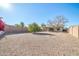 Large backyard with gravel and a small tree at 19847 N 108Th Ave, Peoria, AZ 85373